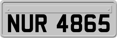 NUR4865