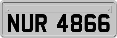 NUR4866
