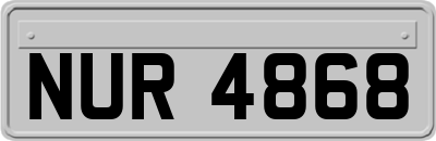 NUR4868