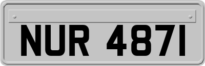 NUR4871