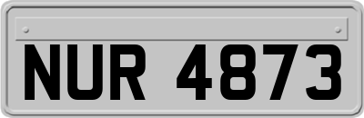 NUR4873