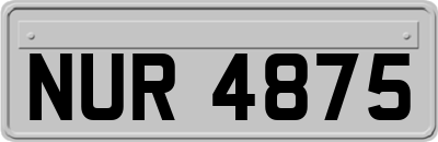 NUR4875