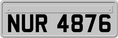 NUR4876