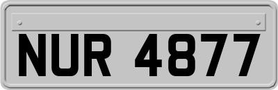 NUR4877