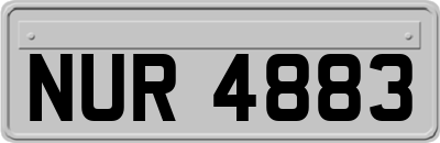 NUR4883
