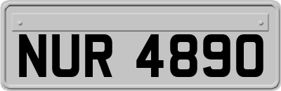 NUR4890