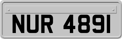 NUR4891