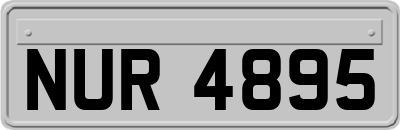 NUR4895