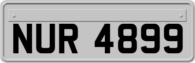 NUR4899