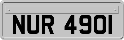 NUR4901
