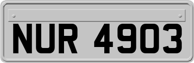 NUR4903