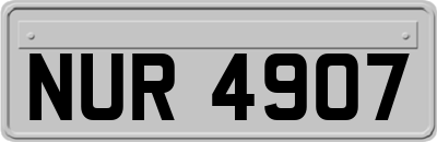 NUR4907