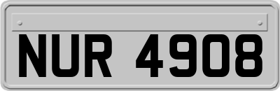 NUR4908