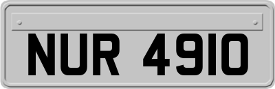 NUR4910