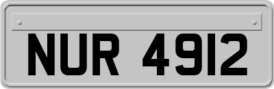 NUR4912