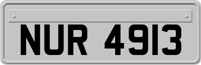 NUR4913