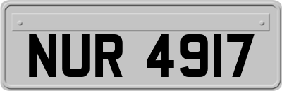 NUR4917