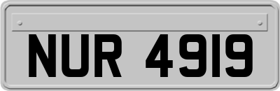 NUR4919