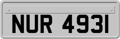 NUR4931