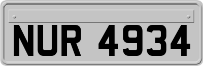 NUR4934