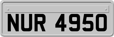 NUR4950