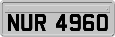 NUR4960