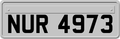 NUR4973