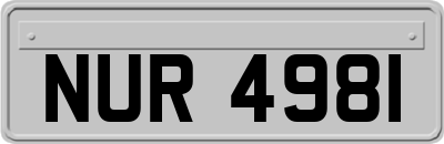 NUR4981