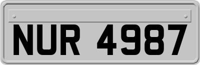 NUR4987