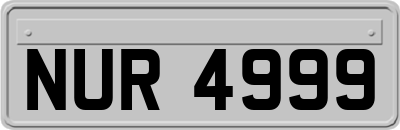 NUR4999