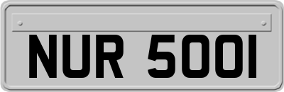 NUR5001
