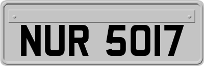 NUR5017