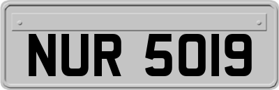 NUR5019