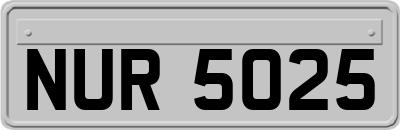 NUR5025