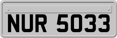 NUR5033