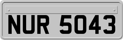 NUR5043