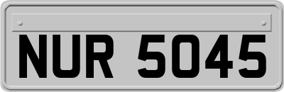 NUR5045