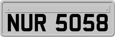 NUR5058