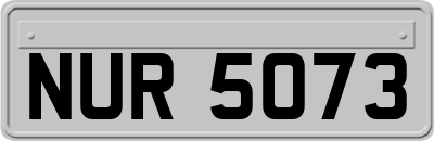 NUR5073