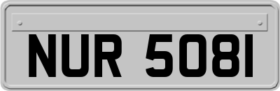 NUR5081