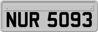 NUR5093