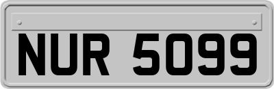 NUR5099