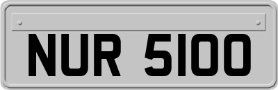 NUR5100