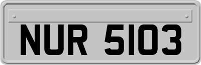 NUR5103