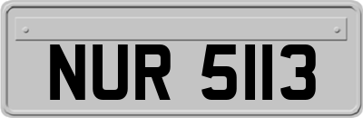 NUR5113