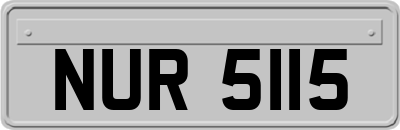 NUR5115