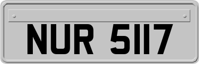 NUR5117