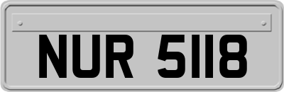 NUR5118