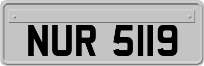 NUR5119