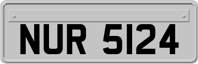 NUR5124